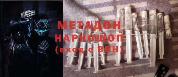 индика Ельня