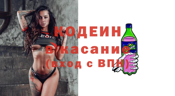 индика Ельня