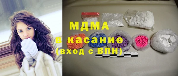 индика Ельня