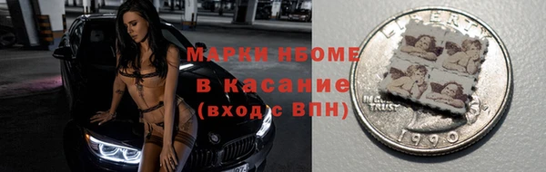 индика Ельня