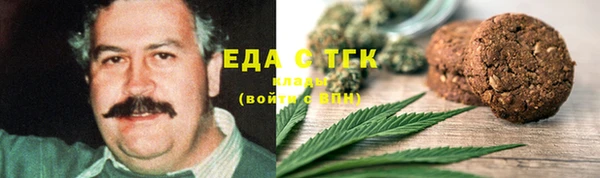 индика Ельня