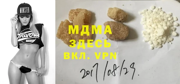 индика Ельня