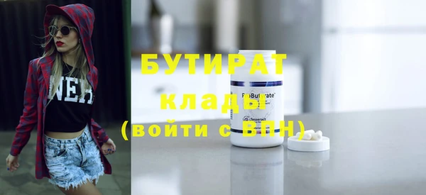 индика Ельня