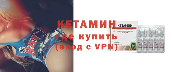 индика Ельня