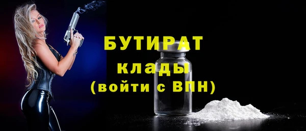 индика Ельня