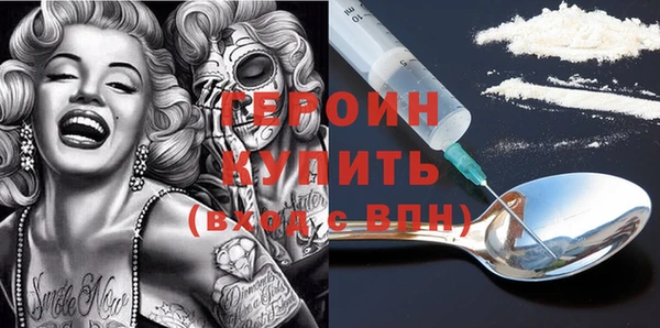 индика Ельня