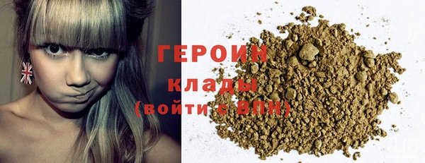 индика Ельня