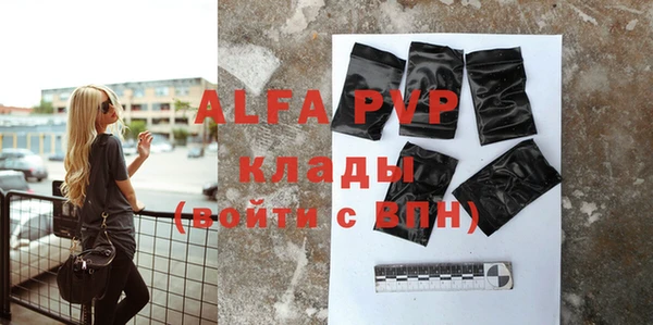 индика Ельня