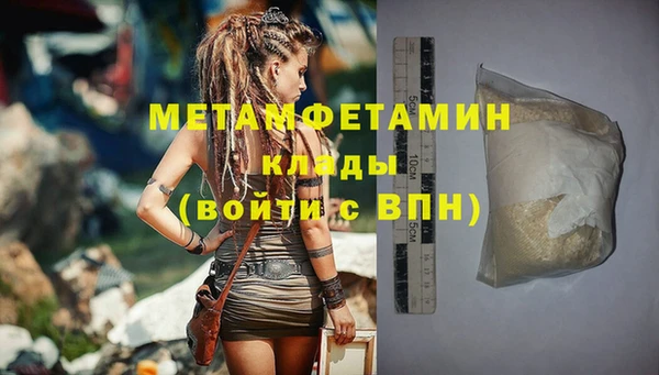 индика Ельня