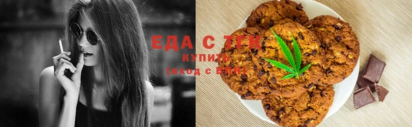 индика Ельня