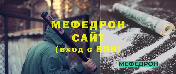 индика Ельня