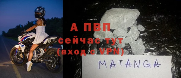 индика Ельня