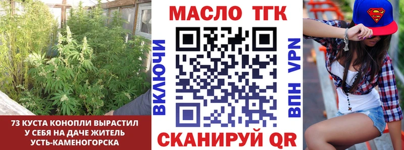 ТГК концентрат  Купить закладки  Западная Двина 